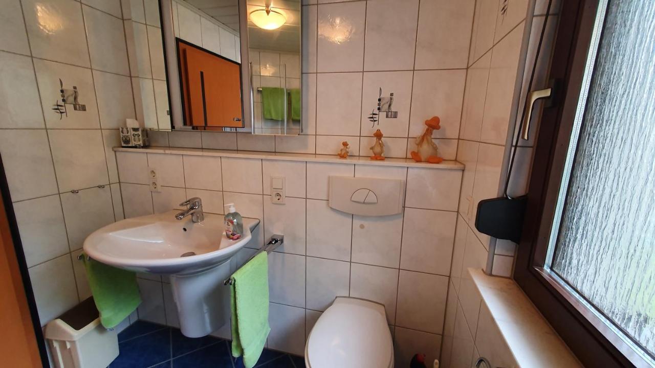 Ferienhaus Korsikablick Unter Schonmattenwag Экстерьер фото